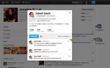 Twitter Profile Overlay